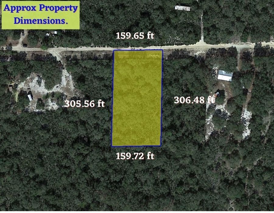 Bronson, Levy County, FL Recreational Property, Undeveloped Land