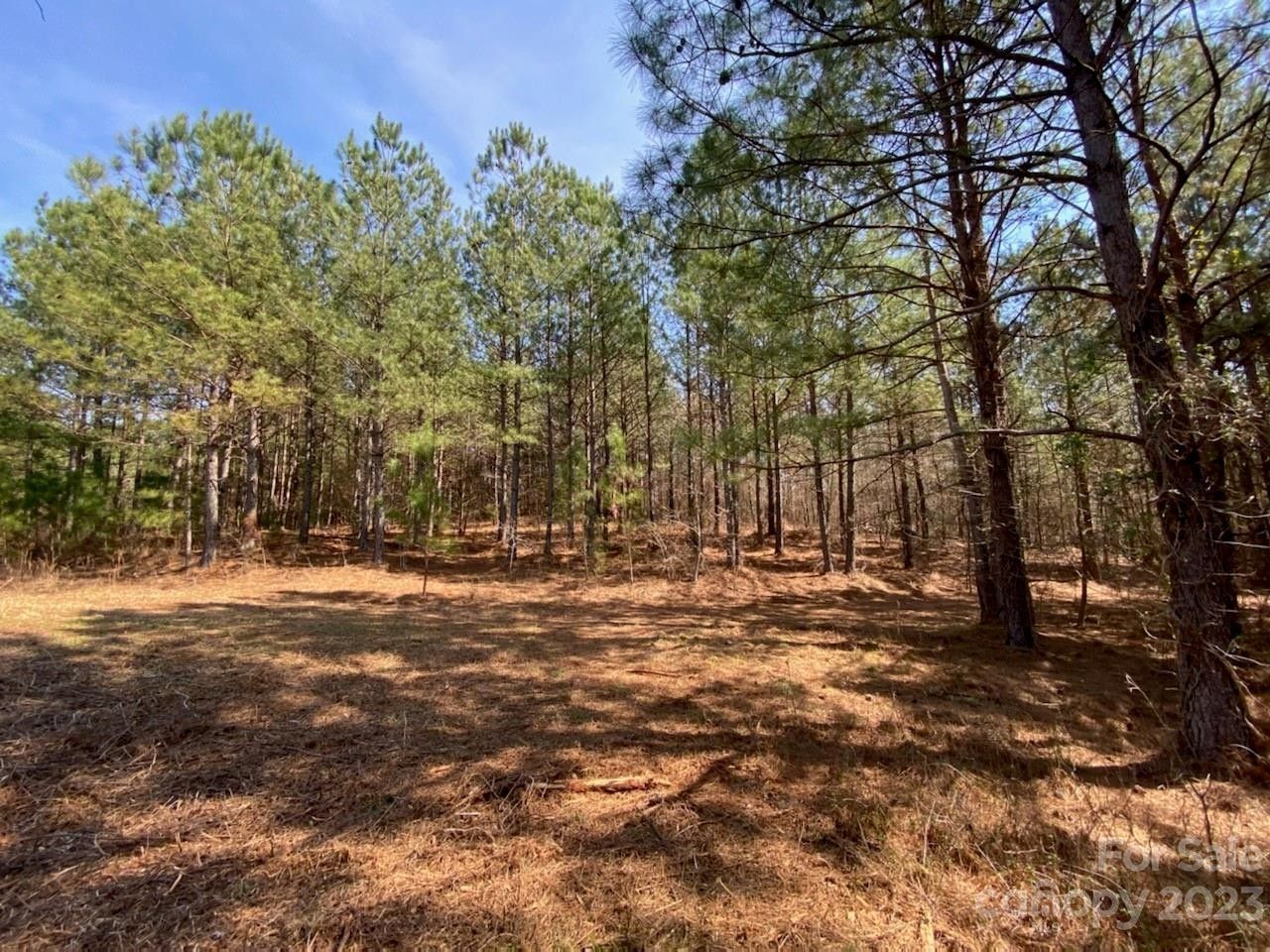 Mooresboro, Cleveland County, NC Undeveloped Land, Homesites for sale