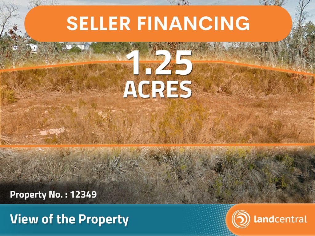 Bronson, Levy County, FL Undeveloped Land, Homesites for sale Property