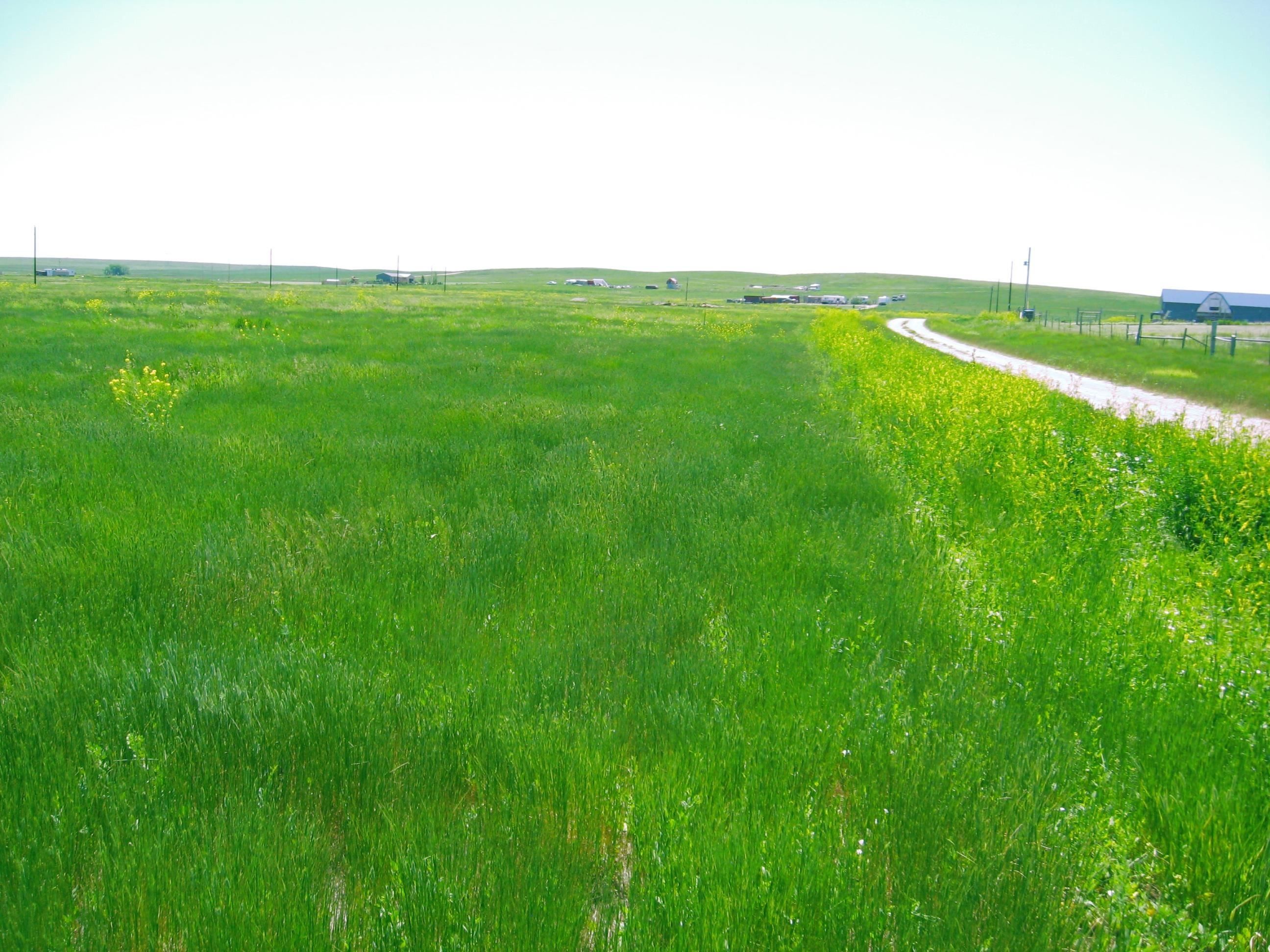Smithwick, Fall River County, SD Undeveloped Land, Homesites for sale