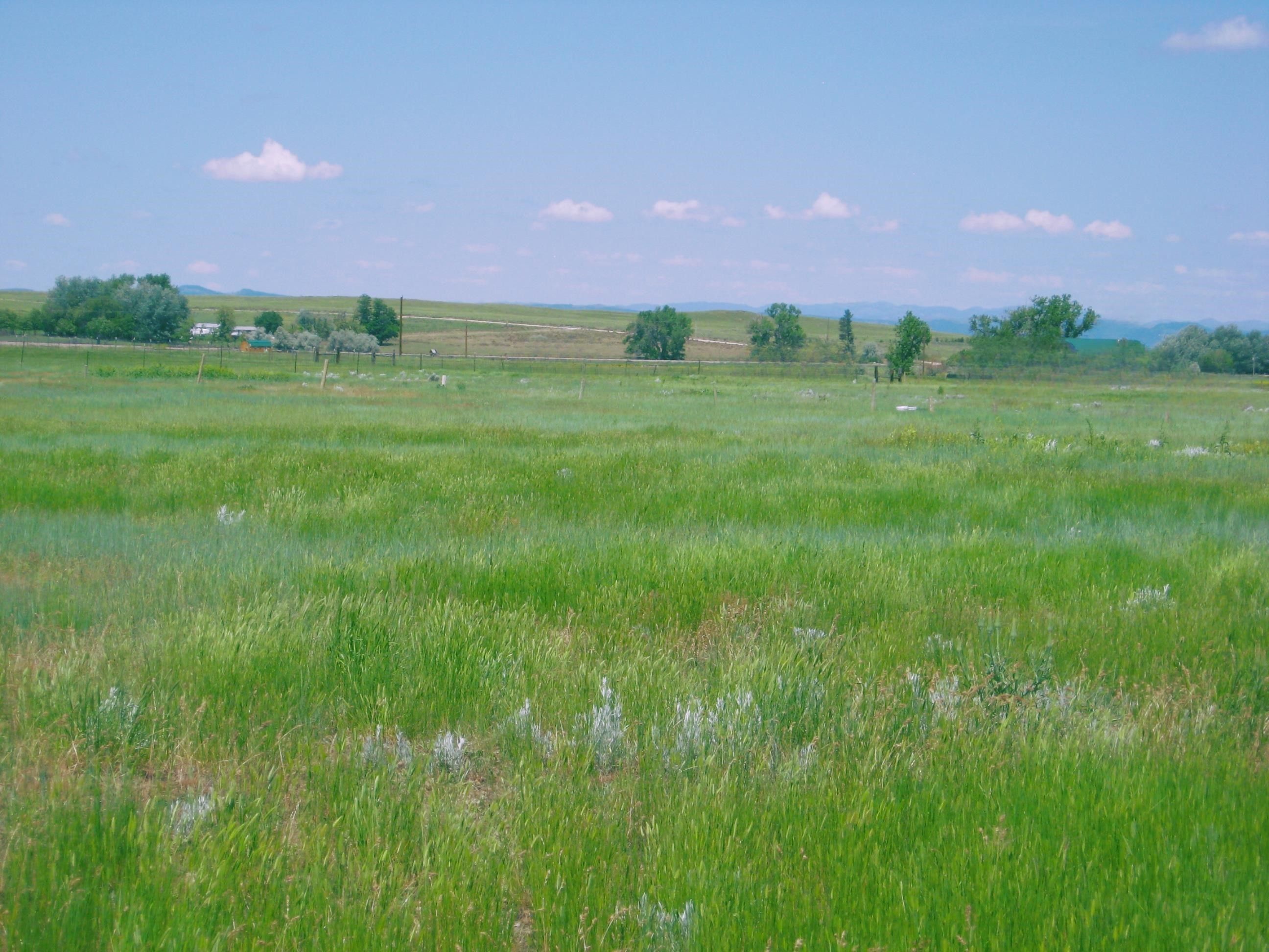 Smithwick, Fall River County, SD Undeveloped Land, Homesites for sale