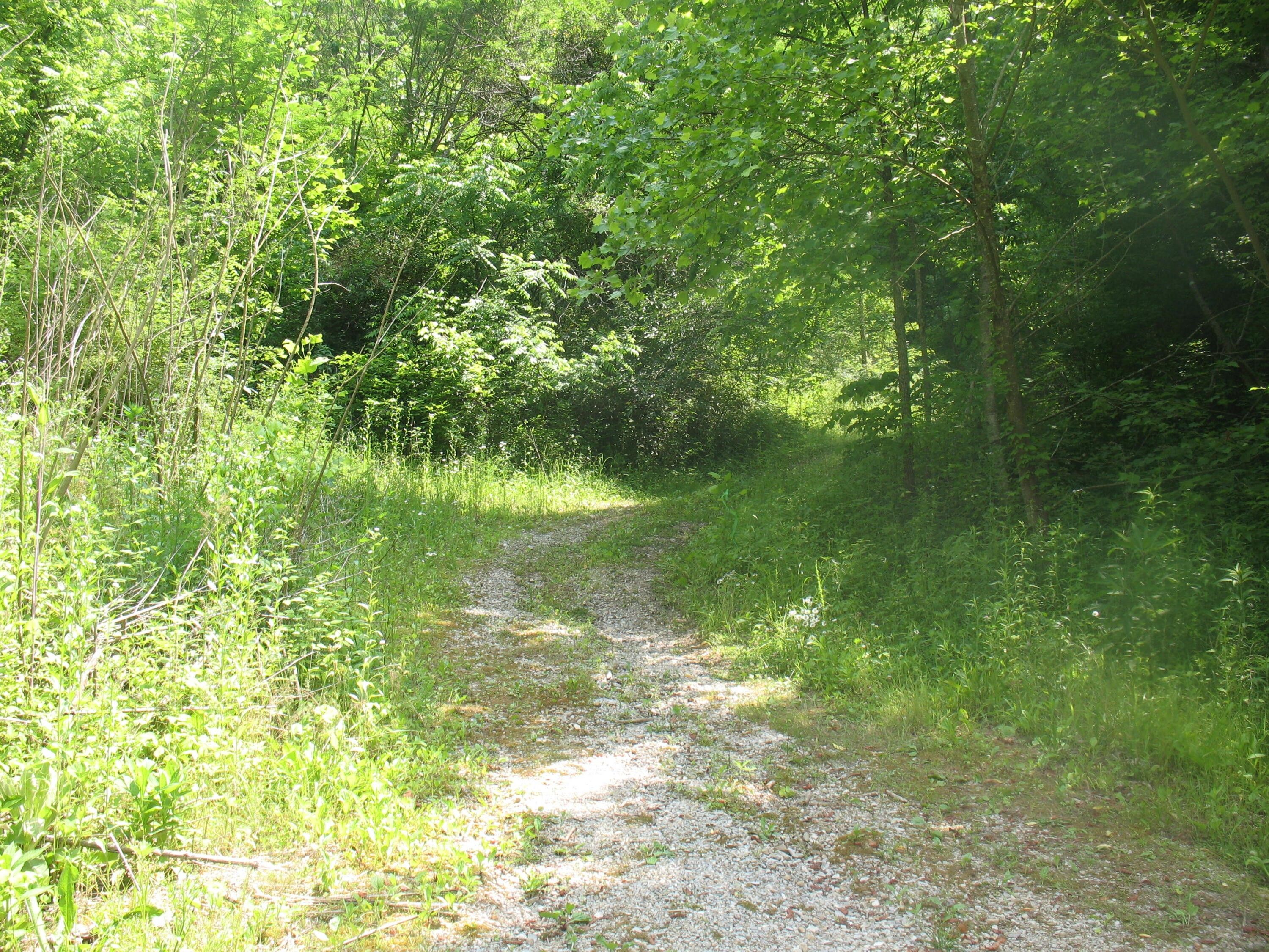 Wooton, Leslie County, KY Farms and Ranches for sale Property ID