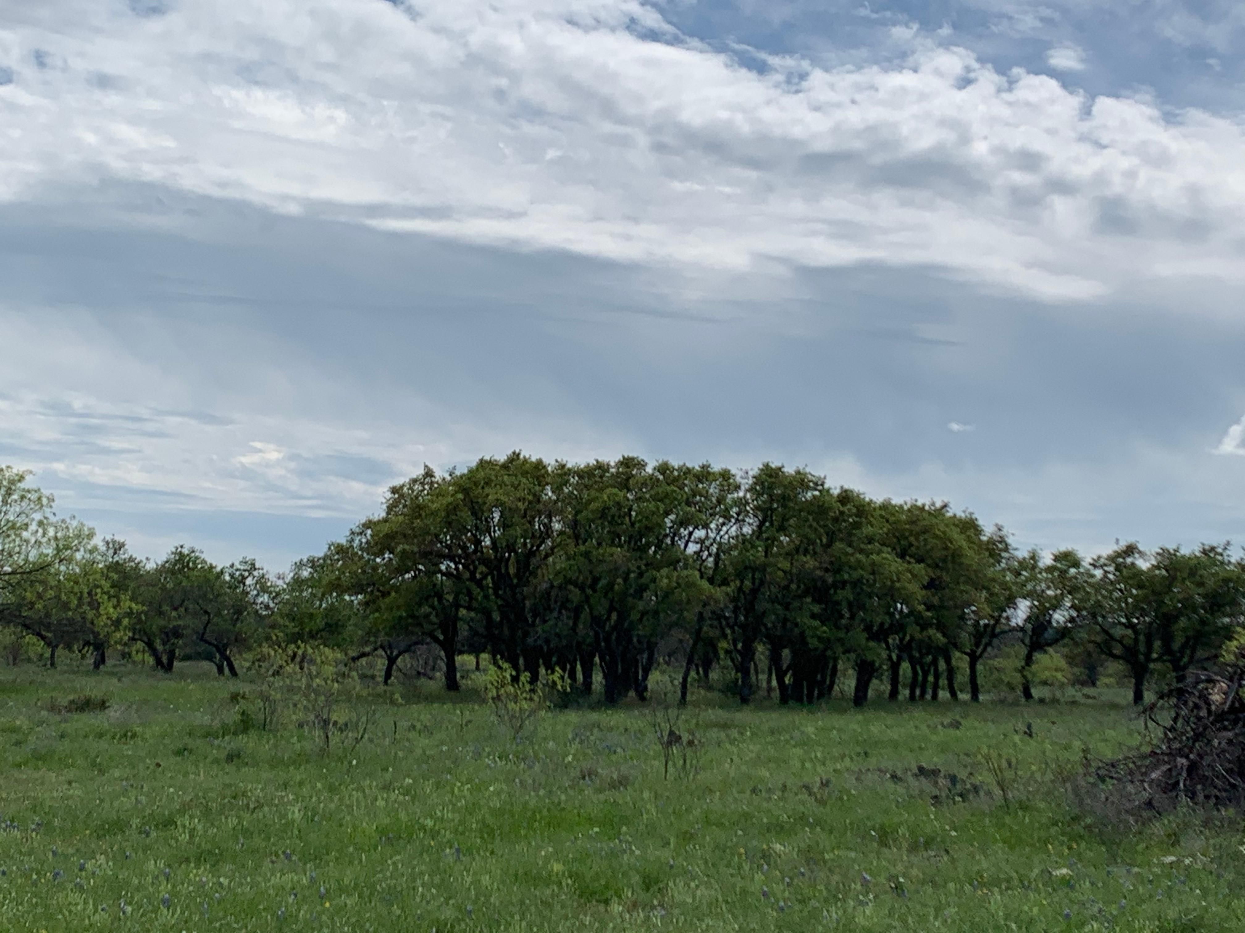 Menard, Menard County, TX Farms and Ranches, Recreational Property
