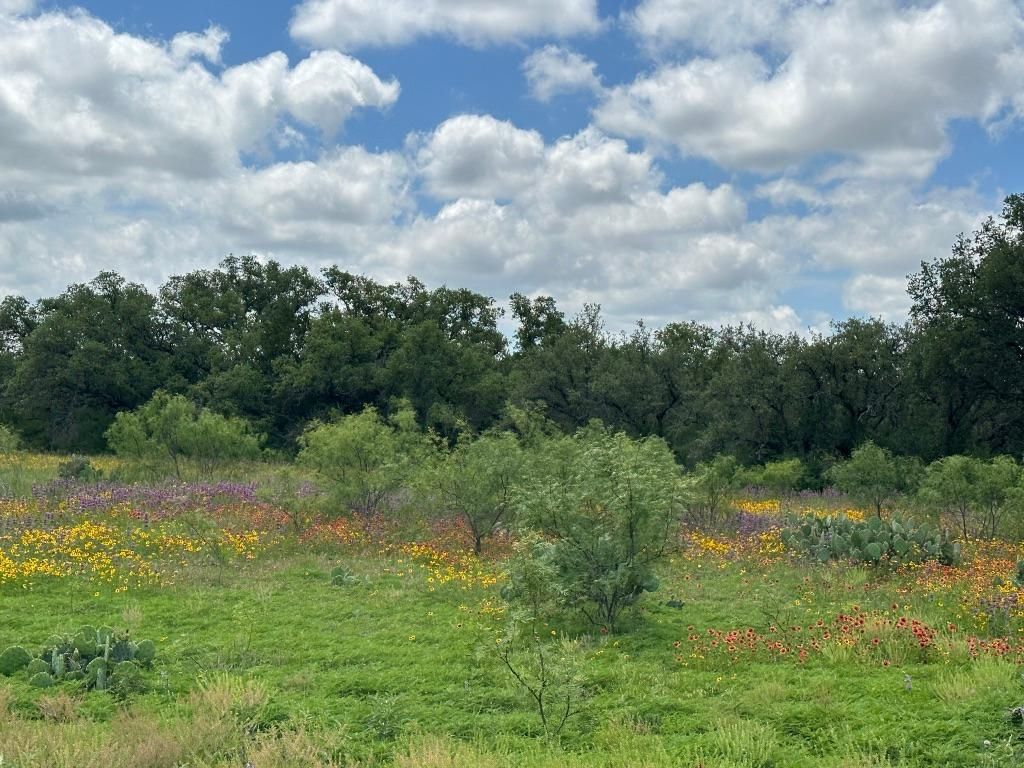 Lake Brownwood, Brown County, TX Recreational Property, Undeveloped