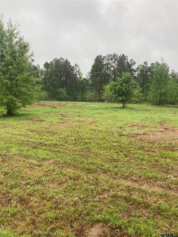 Overton, Smith County, TX Undeveloped Land for sale Property ID
