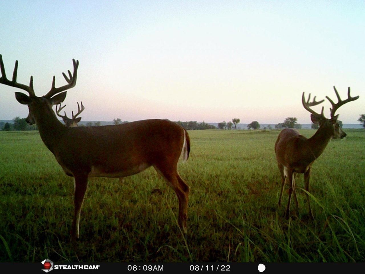 Eufaula, Pittsburg County, OK Recreational Property, Undeveloped Land