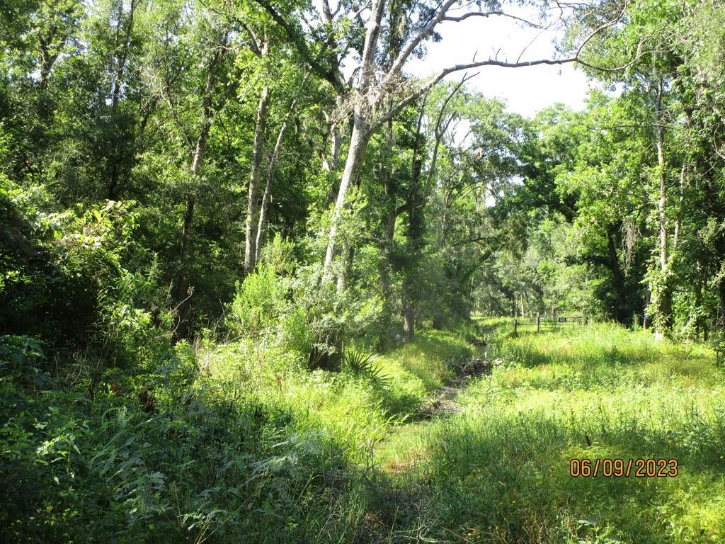 Angleton, Brazoria County, TX Farms and Ranches, Homesites for sale