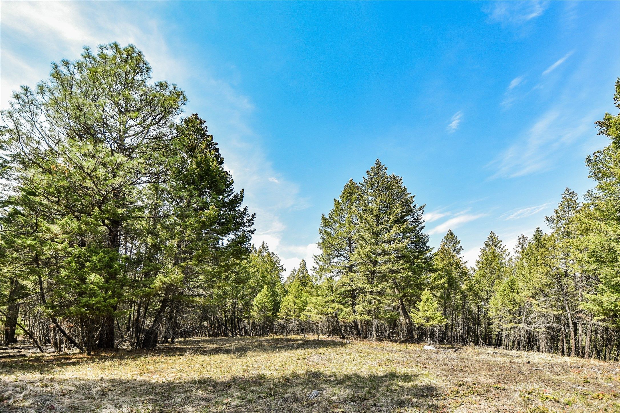 Eureka, Lincoln County, MT Farms and Ranches for sale Property ID