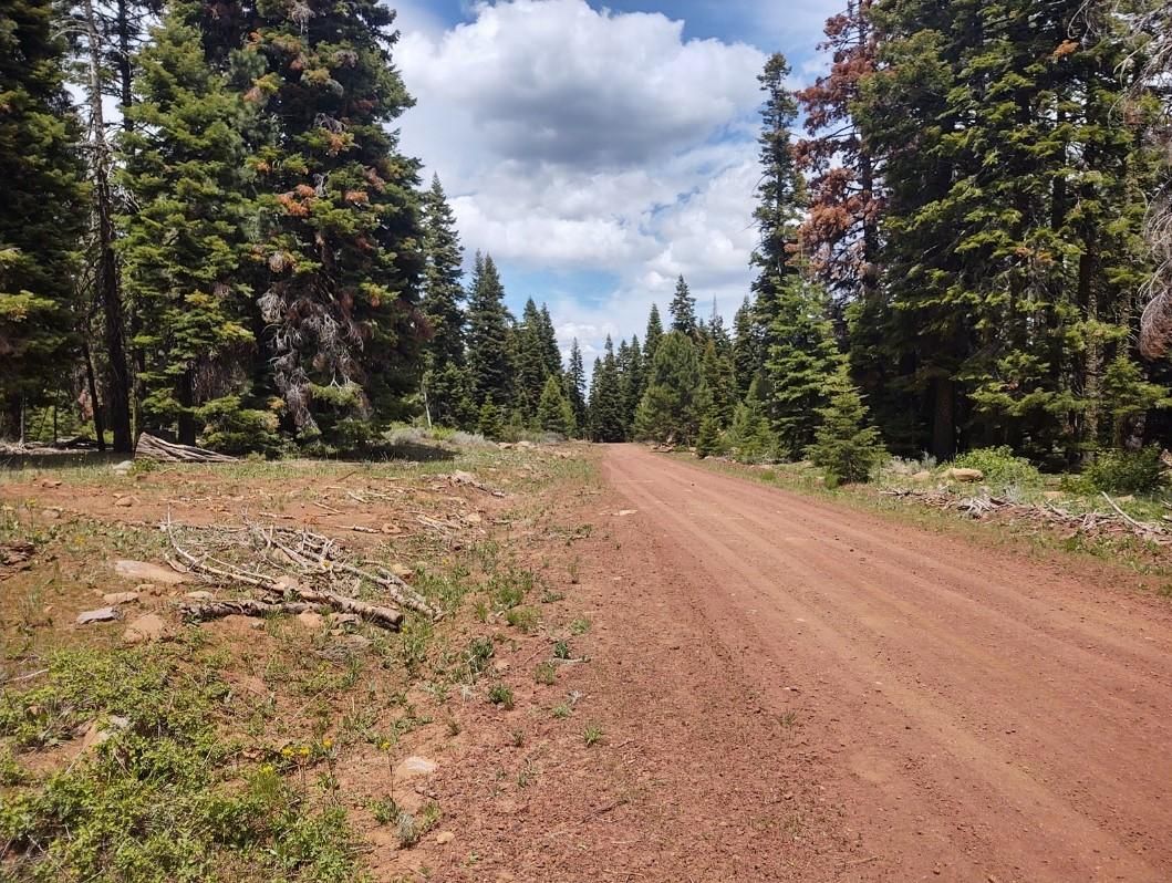 Alturas, Modoc County, CA Recreational Property, Undeveloped Land