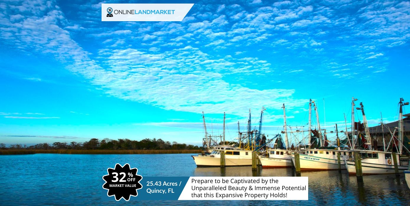 Quincy, Gadsden County, FL Undeveloped Land for sale Property ID 414699262 LandWatch