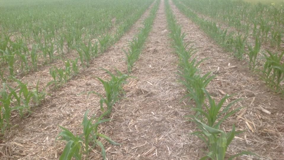 Waverly, Lancaster County, NE Farms and Ranches for sale Property ID