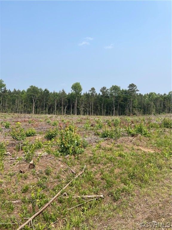 Mckenney, Dinwiddie County, VA Farms and Ranches for sale Property ID