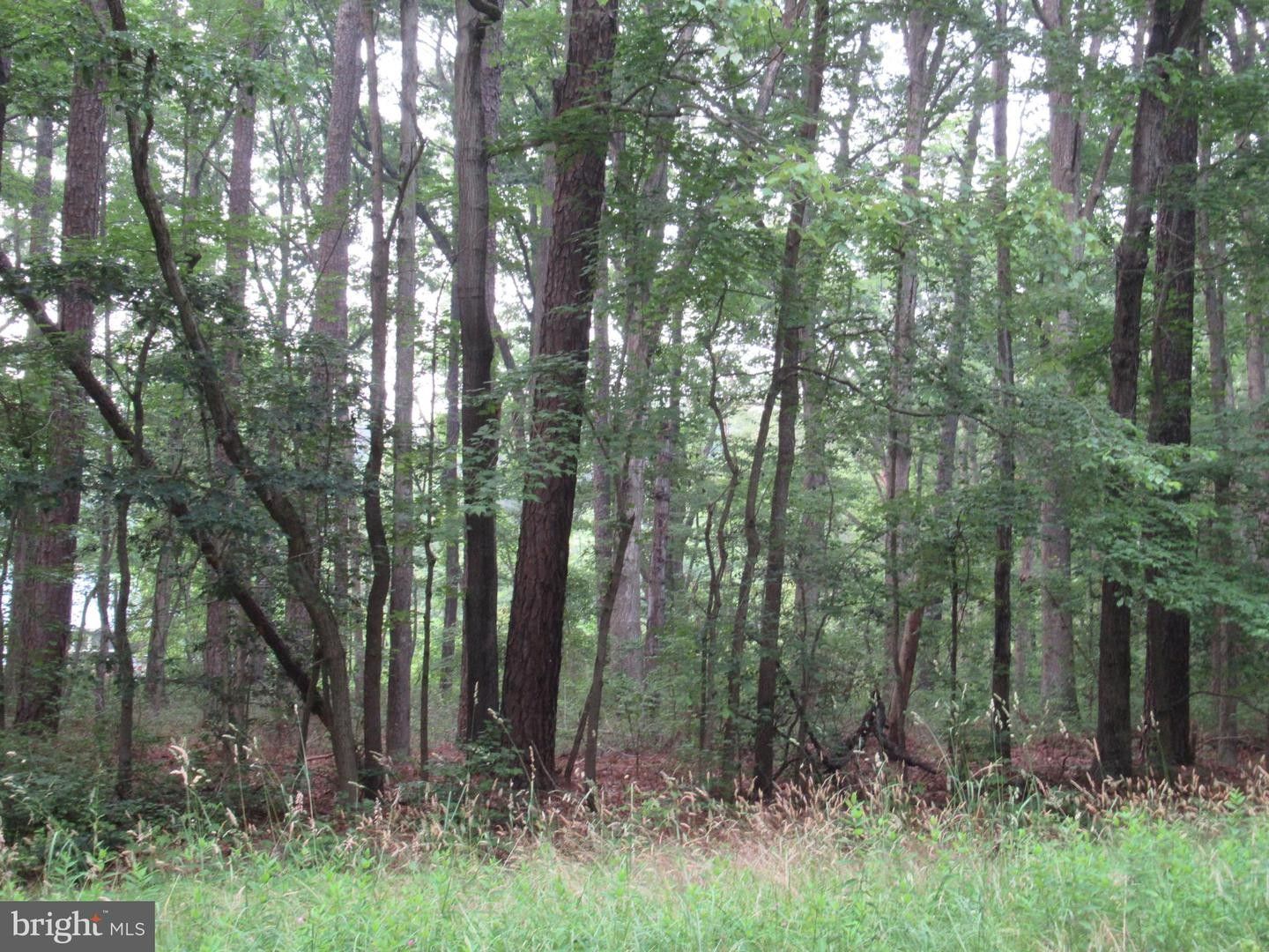 Sherwood, Talbot County, MD Farms and Ranches, Homesites for sale