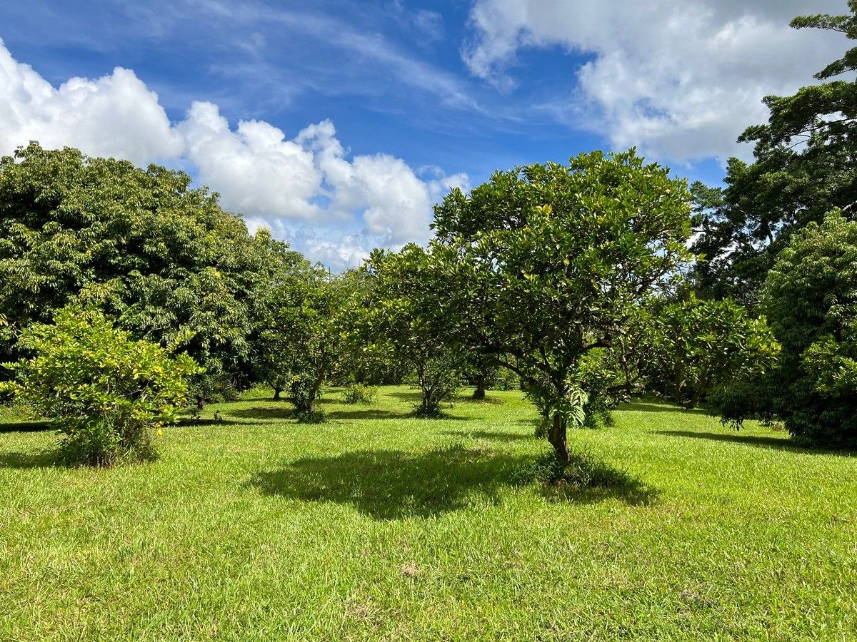 Kurtistown, Hawaii County, HI Undeveloped Land, Homesites for sale