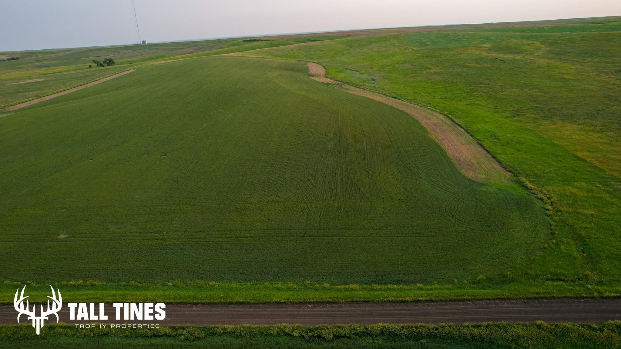 80 acres in Presho, SD, 57568 LandWatch