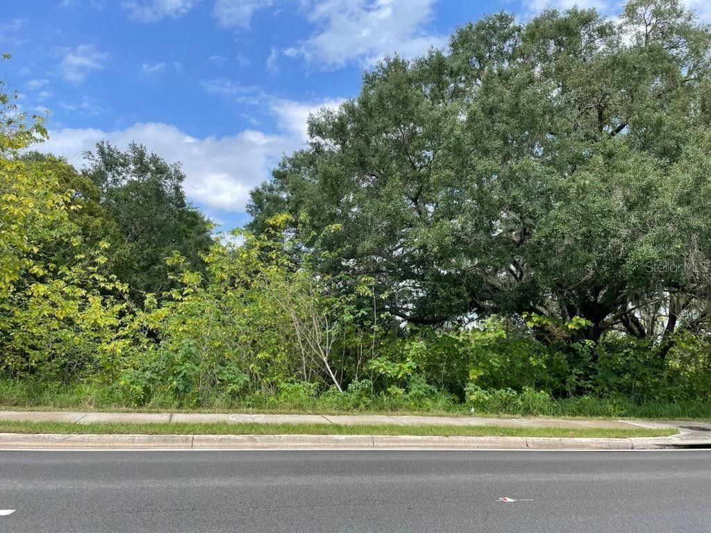 Leesburg, Lake County, FL Undeveloped Land, Homesites for sale Property