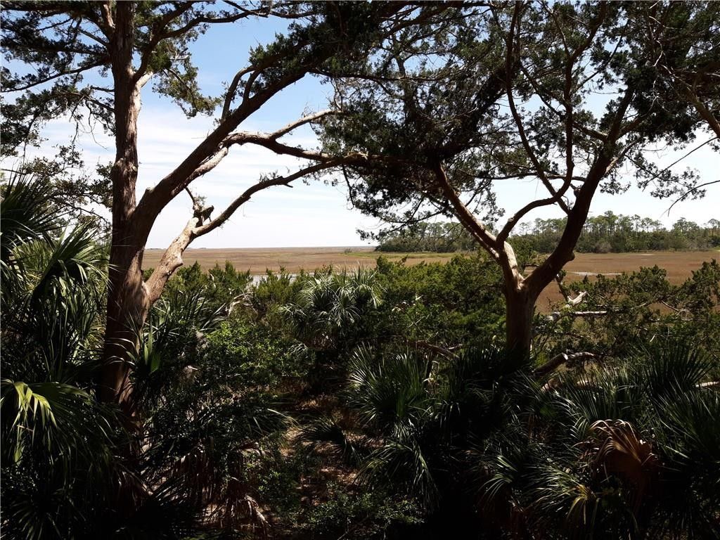 Townsend, McIntosh County, GA Farms and Ranches, Lakefront Property