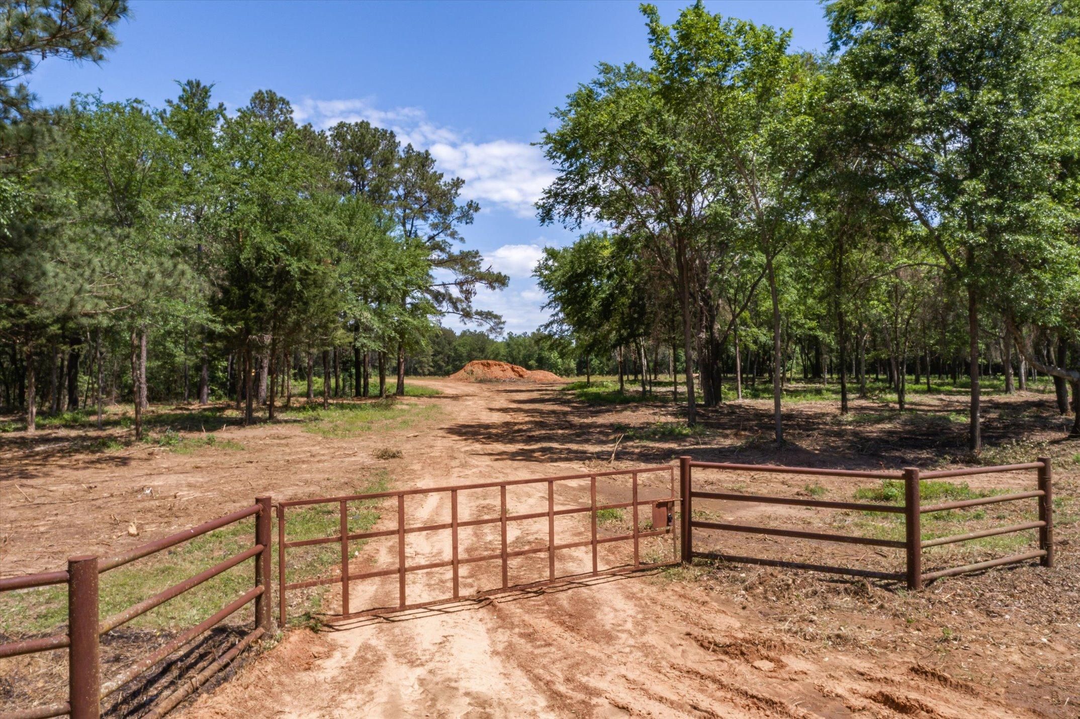 Ben Wheeler, Van Zandt County, TX Recreational Property, Timberland