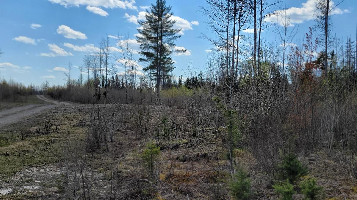 Crystal, Aroostook County, ME Recreational Property, Hunting Property