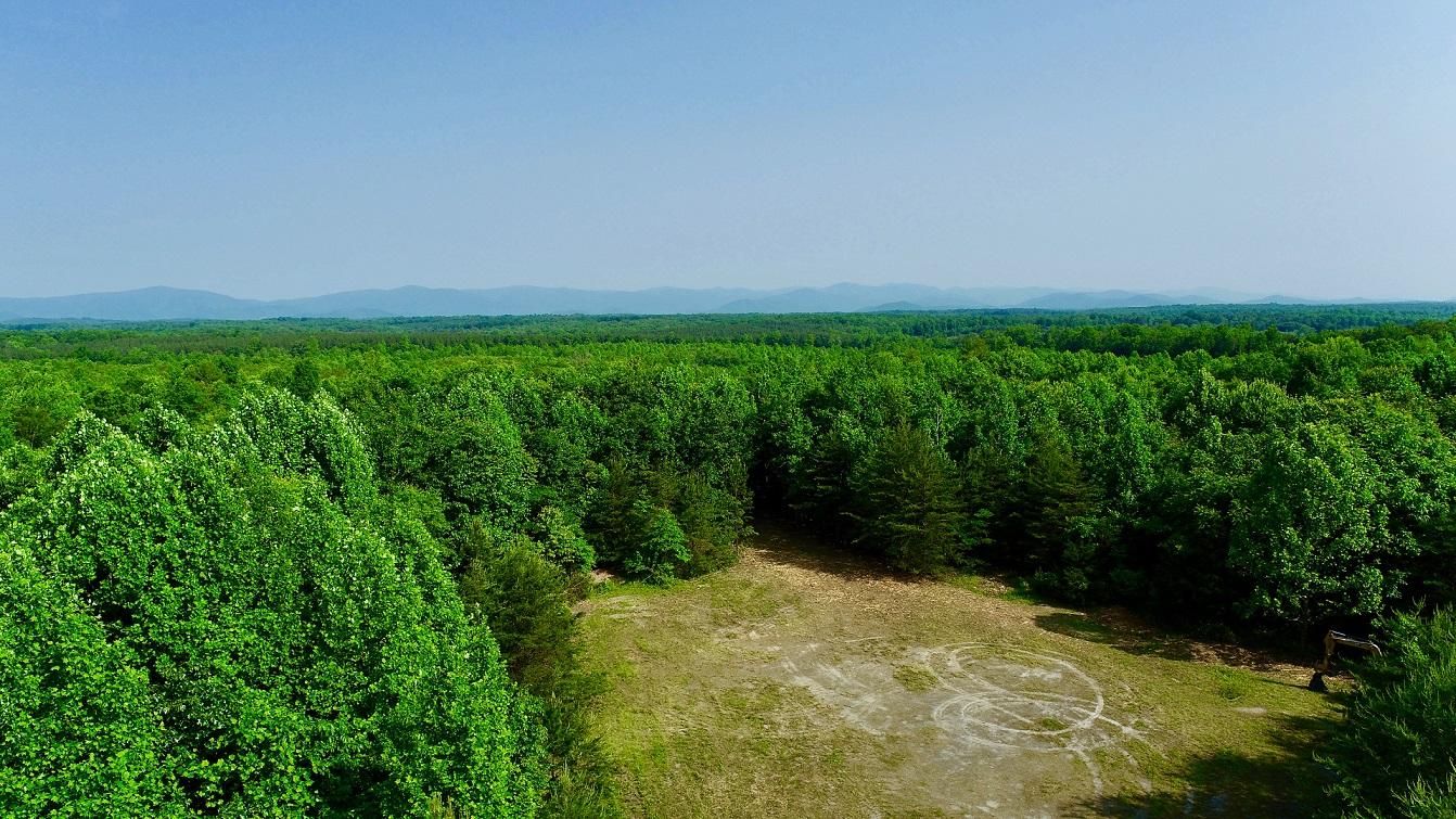 189 acres in Barboursville, VA, 22923 MLS B488 Orange County5