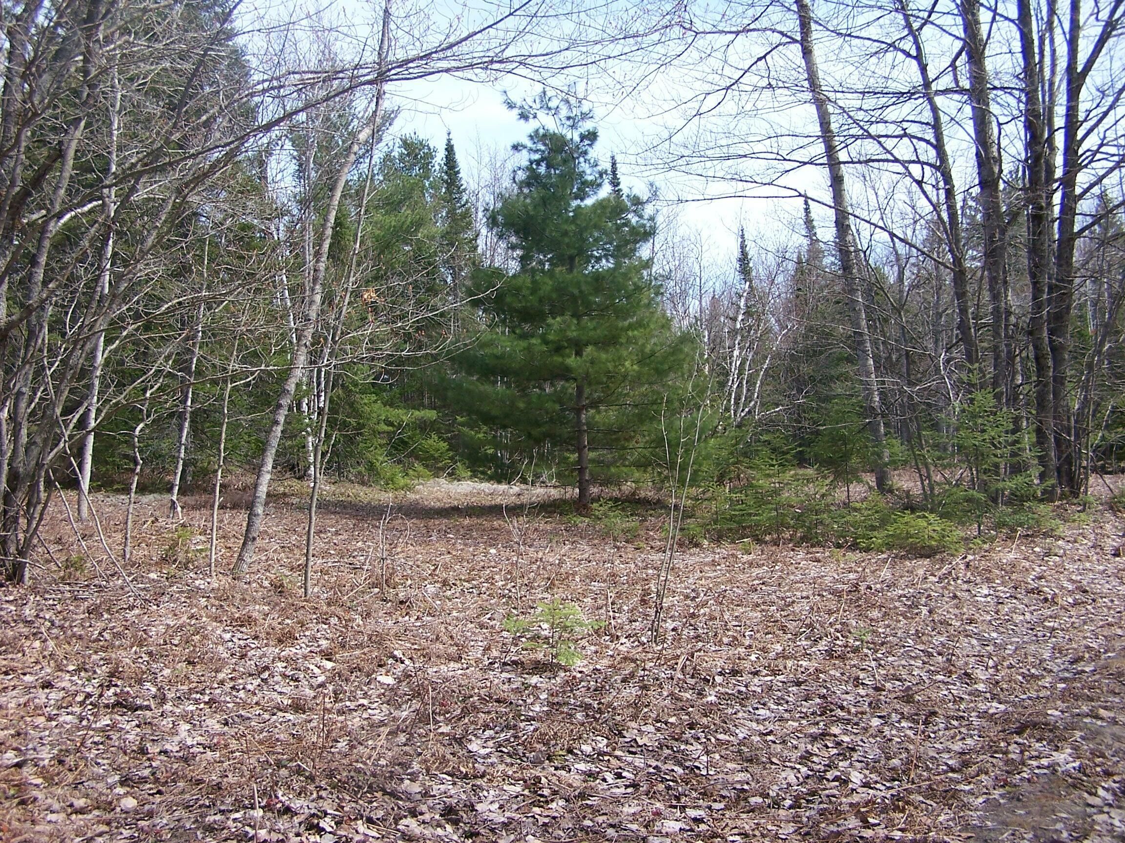 Ocqueoc, Presque Isle County, MI Farms and Ranches for sale Property ID