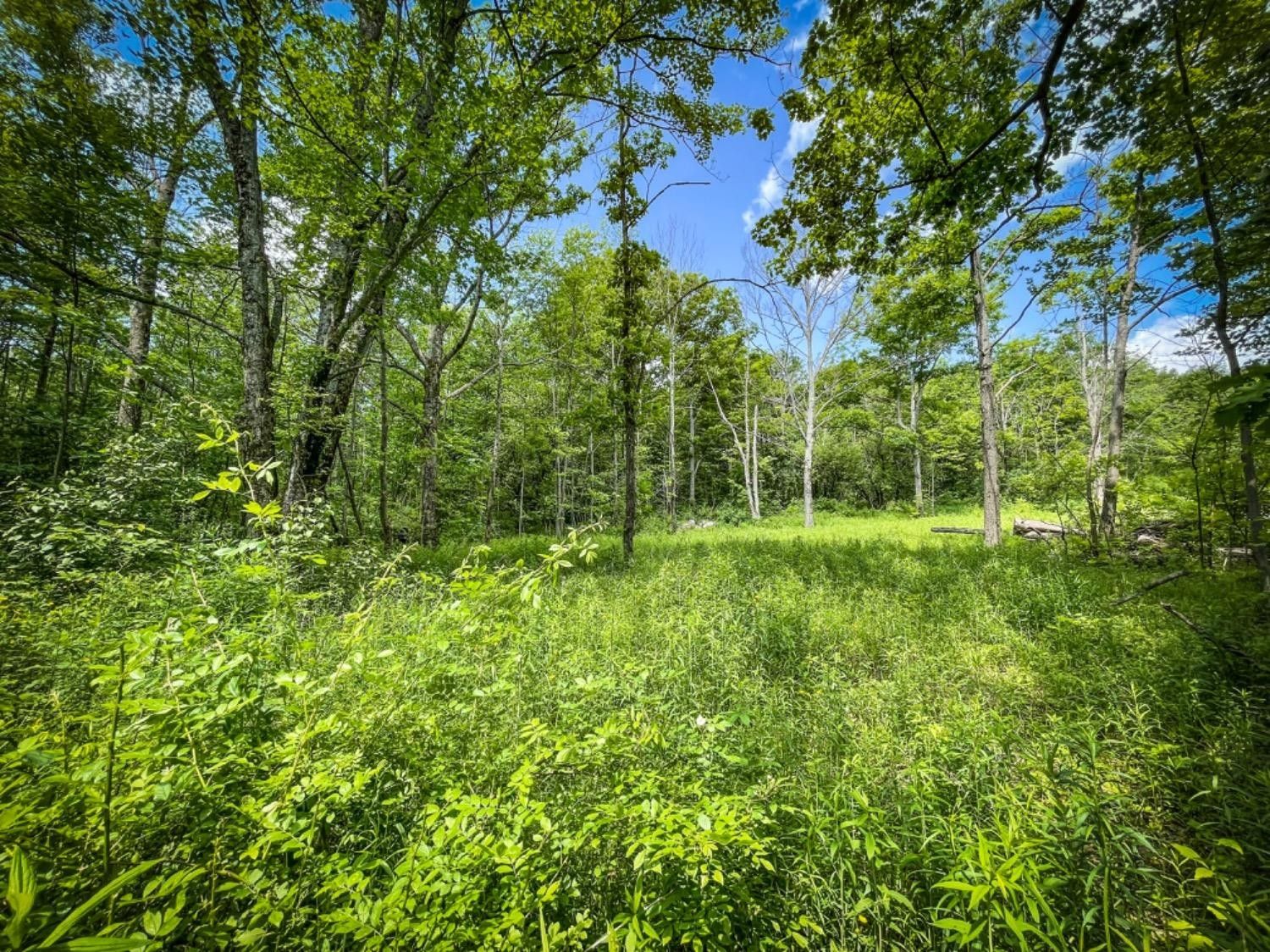 Newfield, Tompkins County, NY Undeveloped Land for sale Property ID