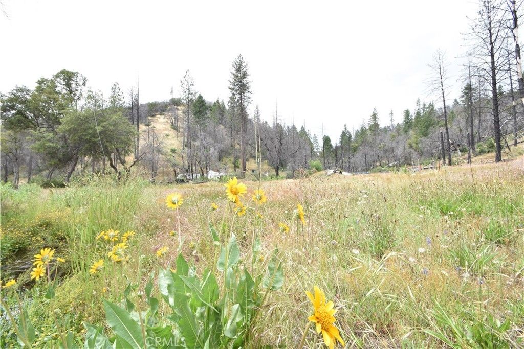 Berry Creek, Butte County, CA Undeveloped Land for sale Property ID