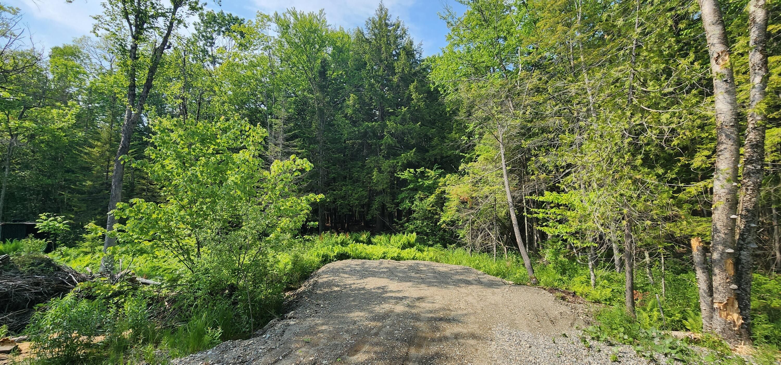 Belfast, Waldo County, ME Undeveloped Land, Homesites for sale Property