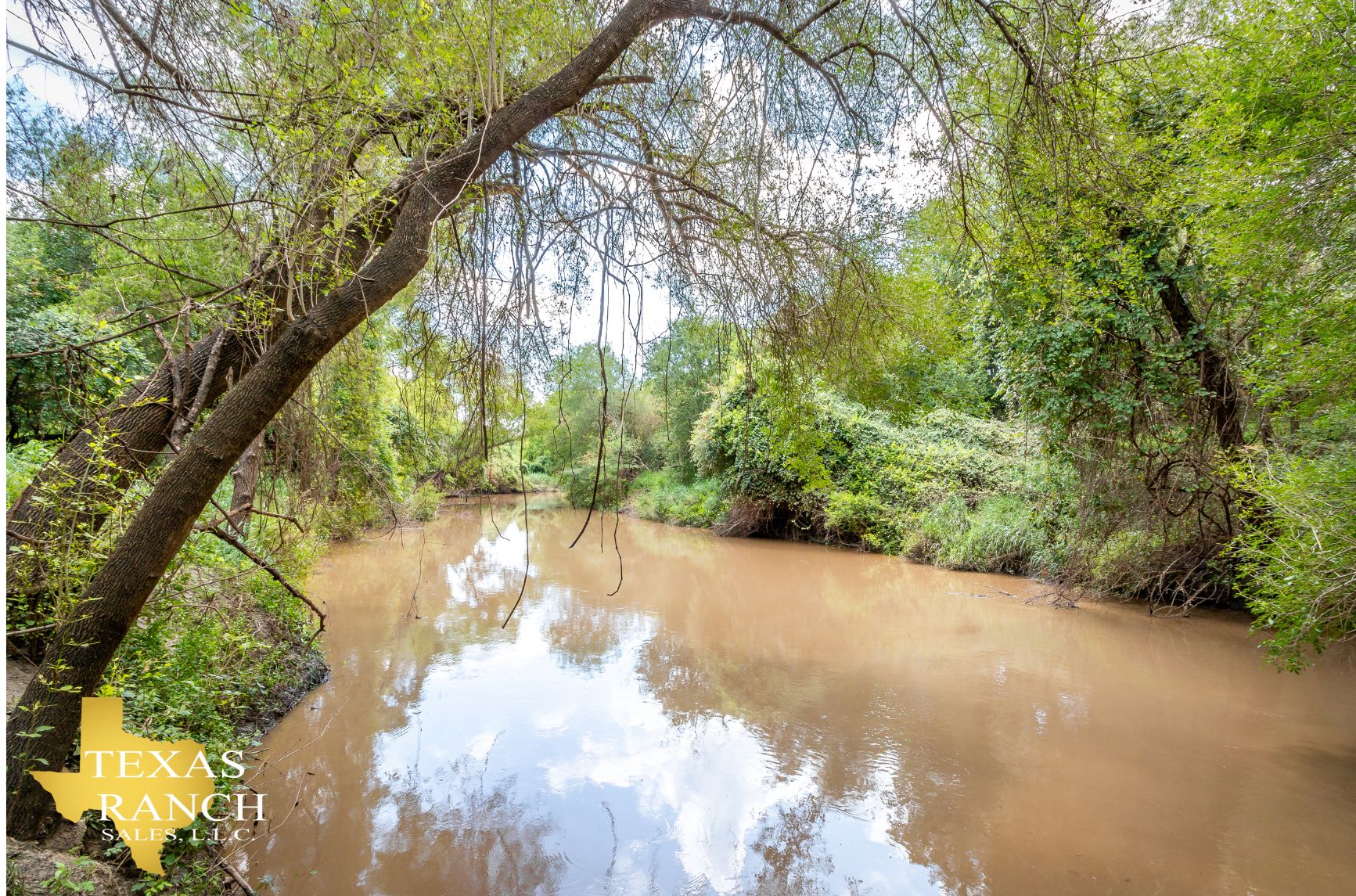 165 acres in Three Rivers, TX, 78071 LandWatch