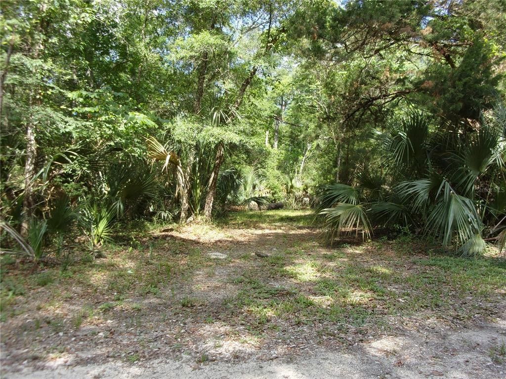 Steinhatchee, Taylor County, FL Farms and Ranches, Timberland Property
