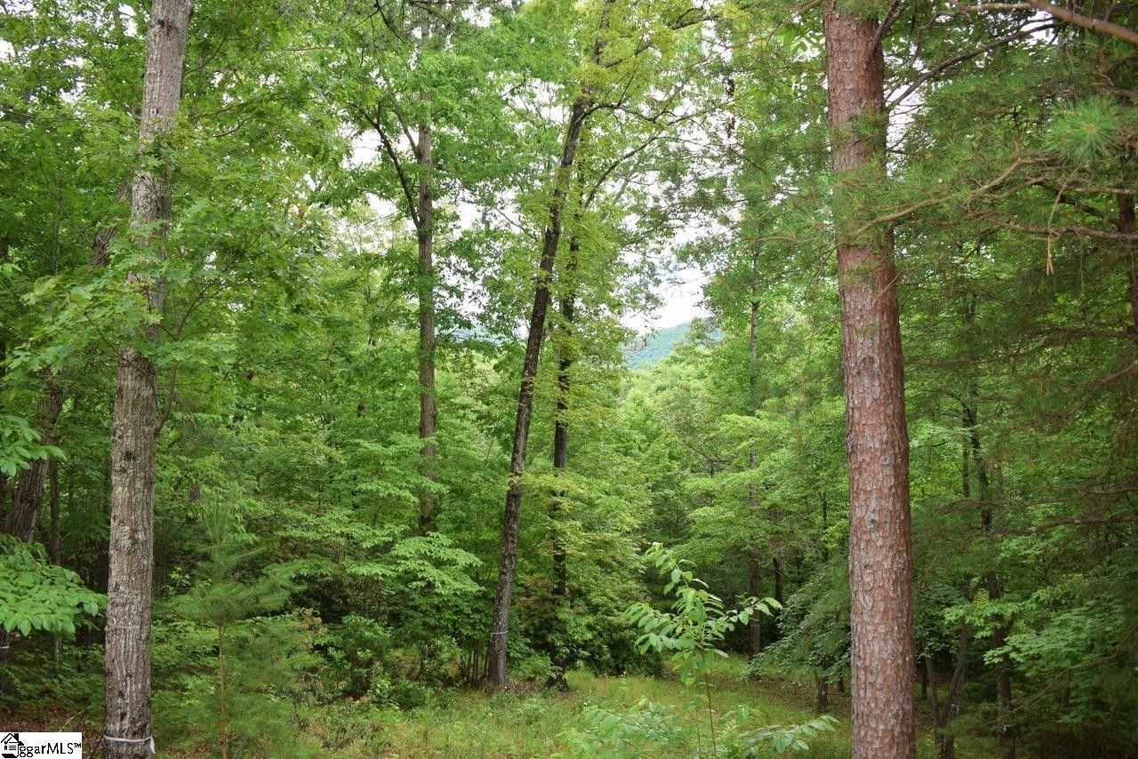 Travelers Rest, Greenville County, SC Undeveloped Land, Homesites for