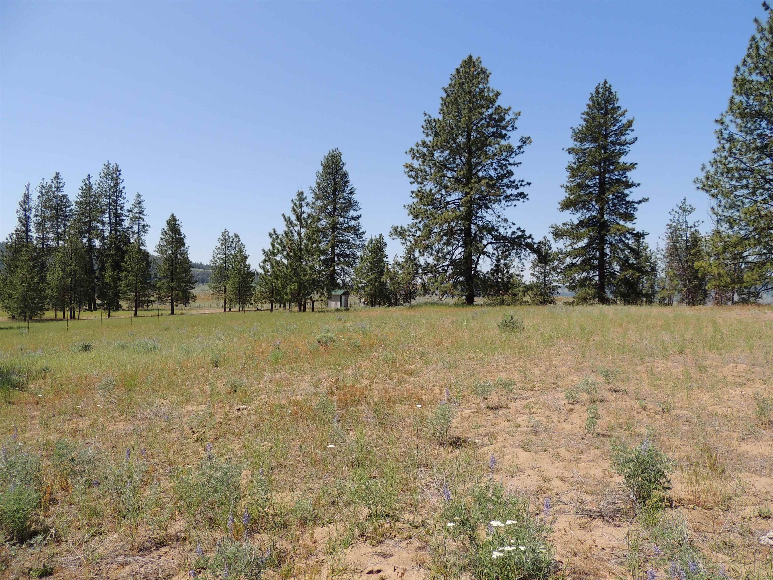 Davenport, Lincoln County, WA Farms and Ranches, Homesites for sale