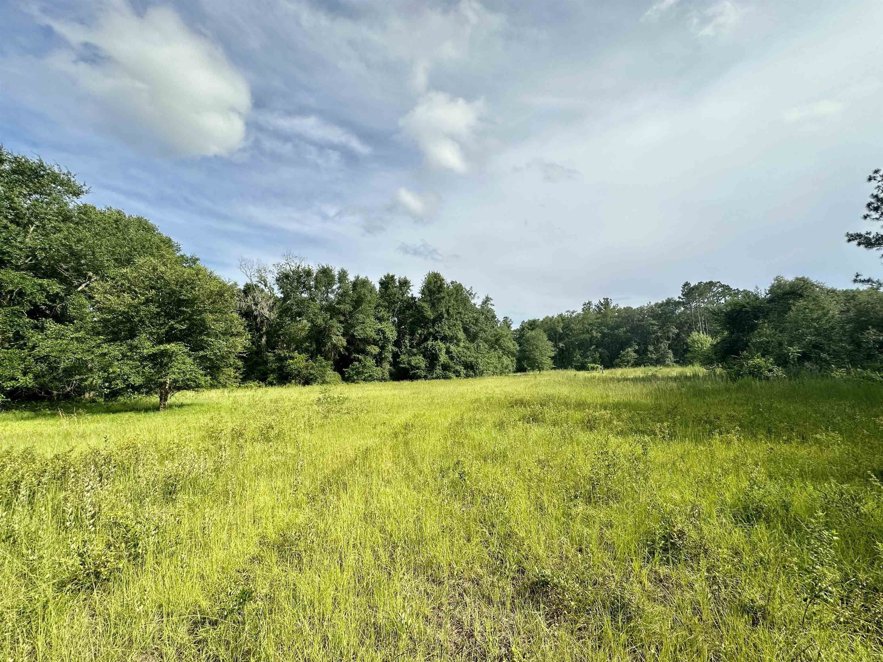 Madison County, FL Undeveloped Land for sale Property ID