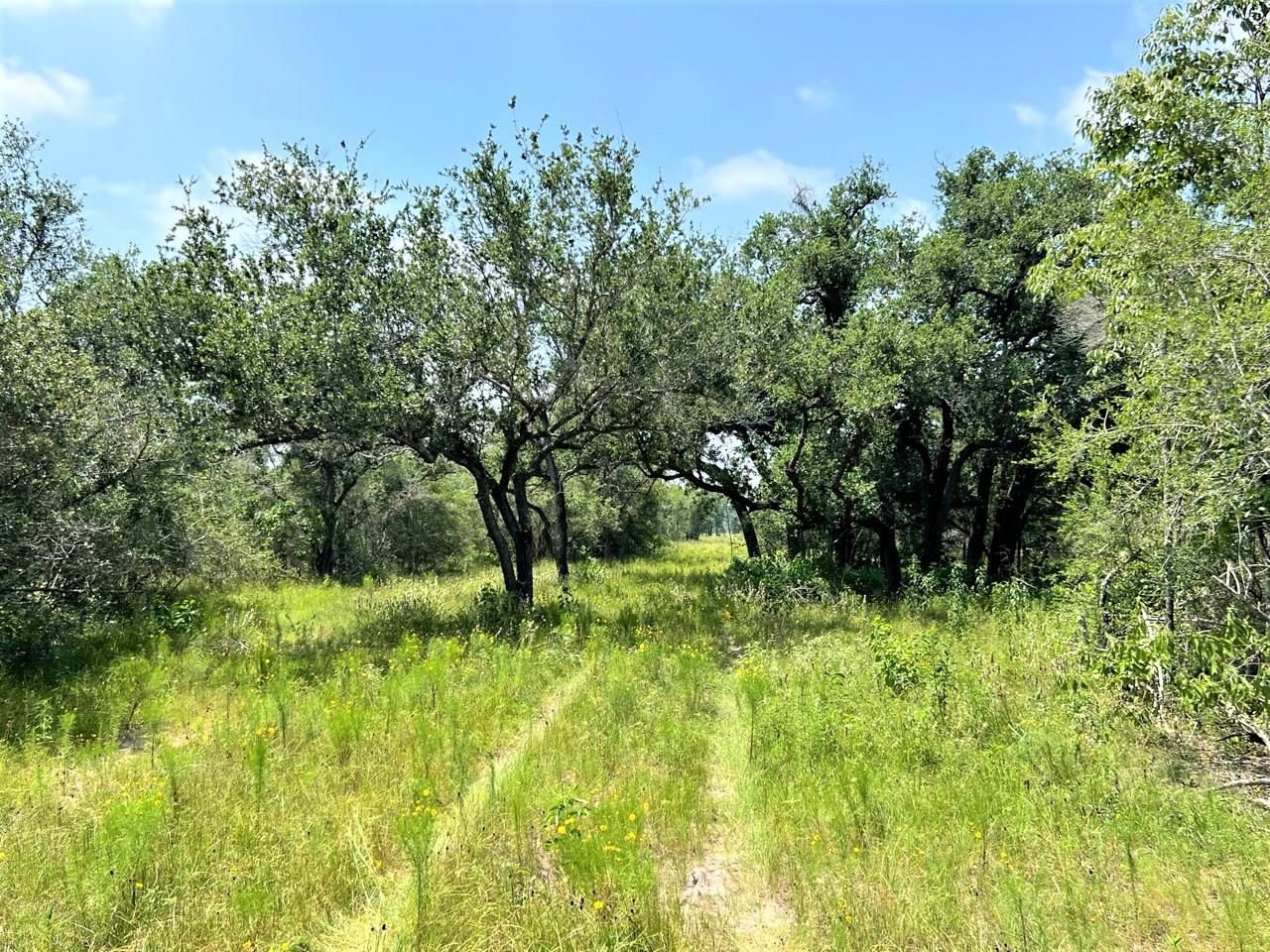100 acres in Goliad, TX, 77963 LandWatch