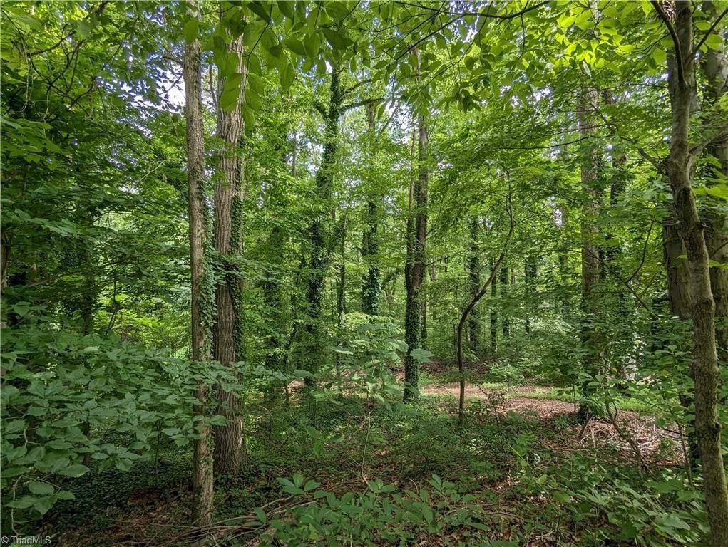 Rural Hall, Forsyth County, NC Homesites for sale Property ID