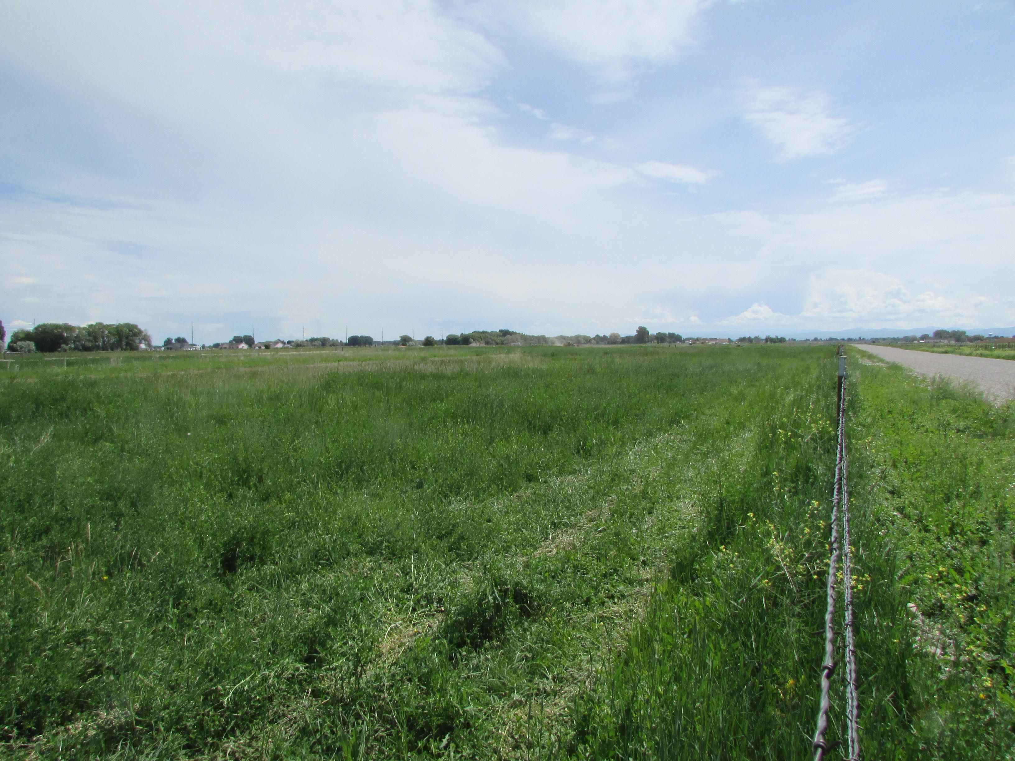 Rigby, Jefferson County, ID Homesites for sale Property ID 416675591