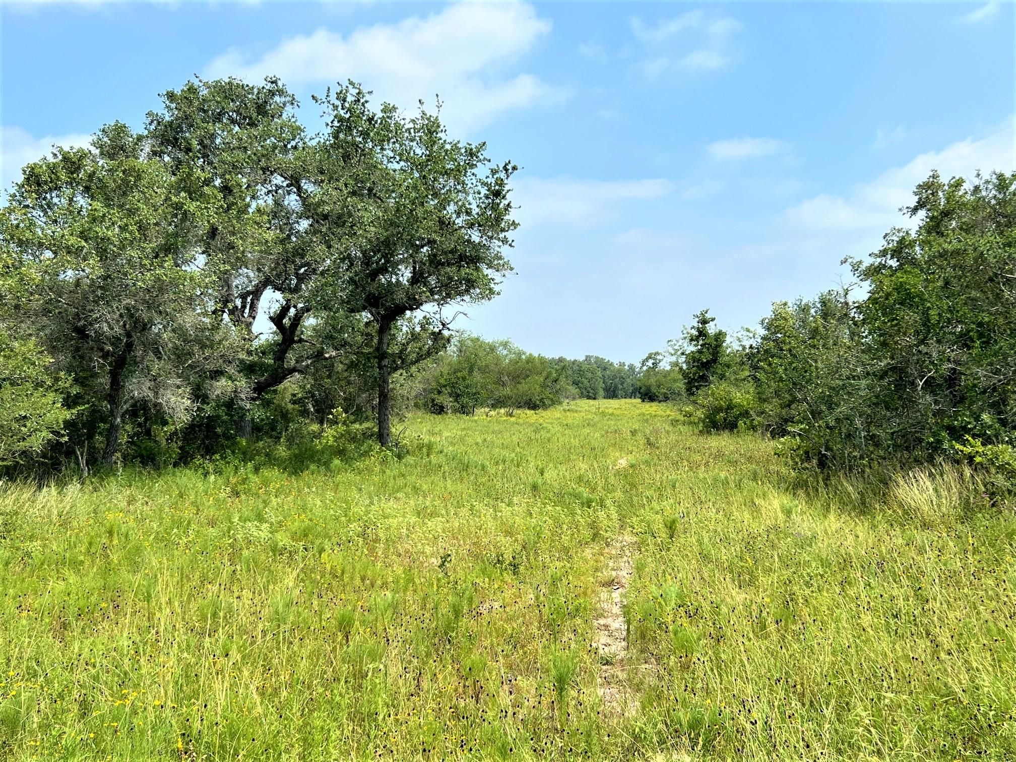 136 acres in Refugio, TX, 78377 LandWatch