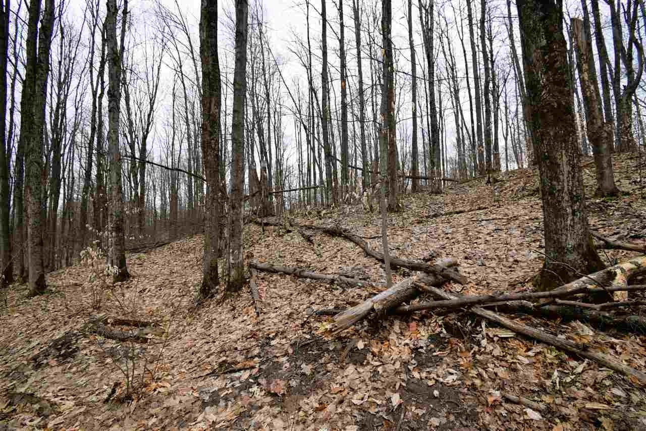 Vanderbilt, Otsego County, MI Farms and Ranches, Homesites for sale