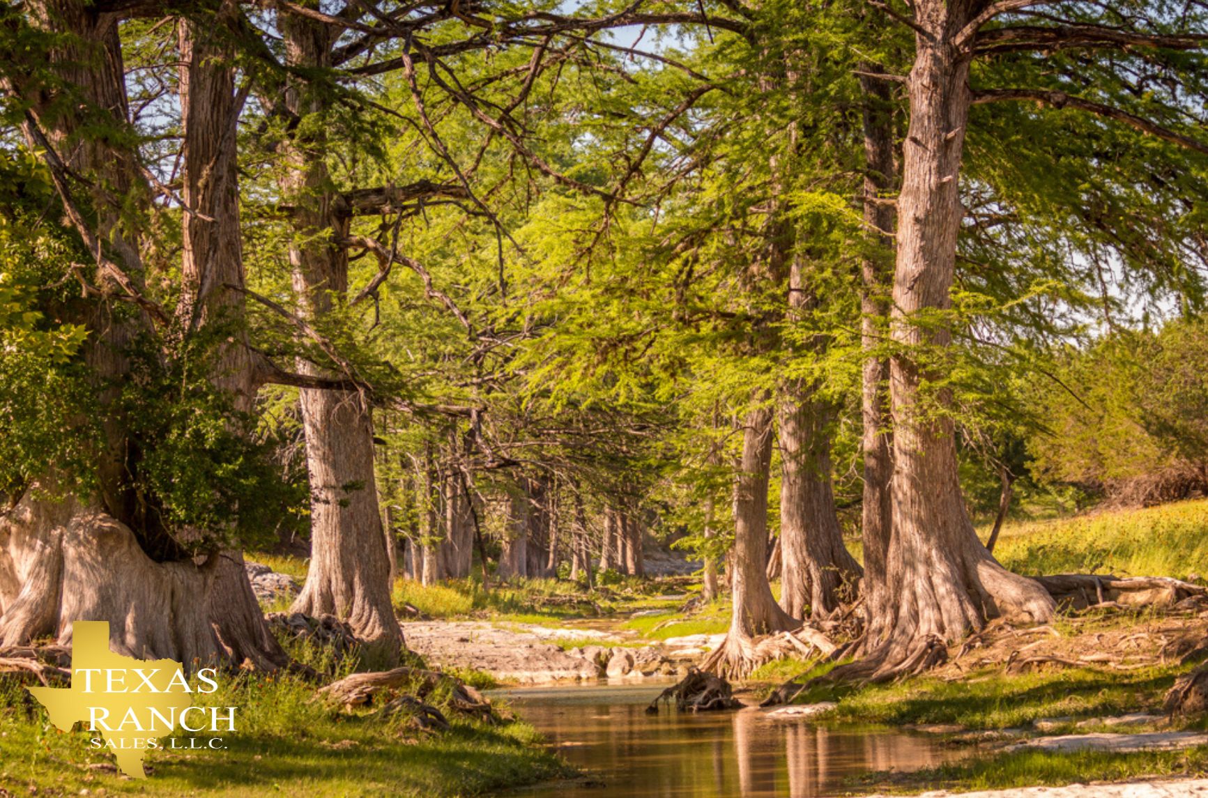 Sisterdale, Kendall County, TX Farms and Ranches, Recreational Property