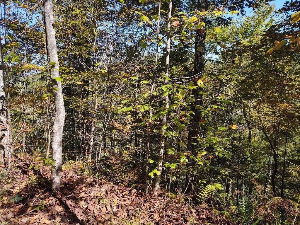 Almond, Swain County, NC Undeveloped Land, Homesites for sale Property