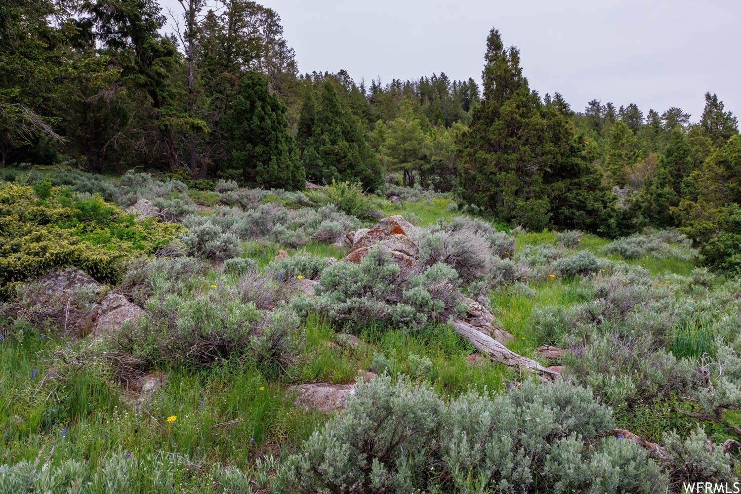 Vernal, Uintah County, UT Undeveloped Land for sale Property ID 416278474 LandWatch