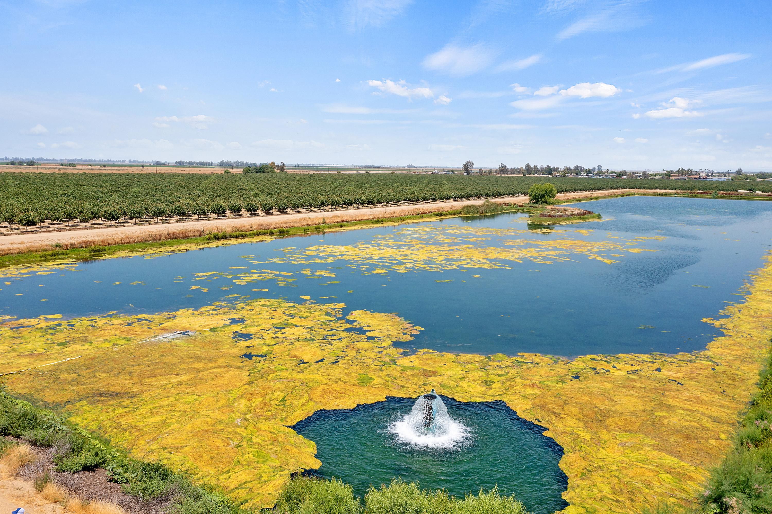 Arvin, Kern County, CA Farms and Ranches for sale Property ID