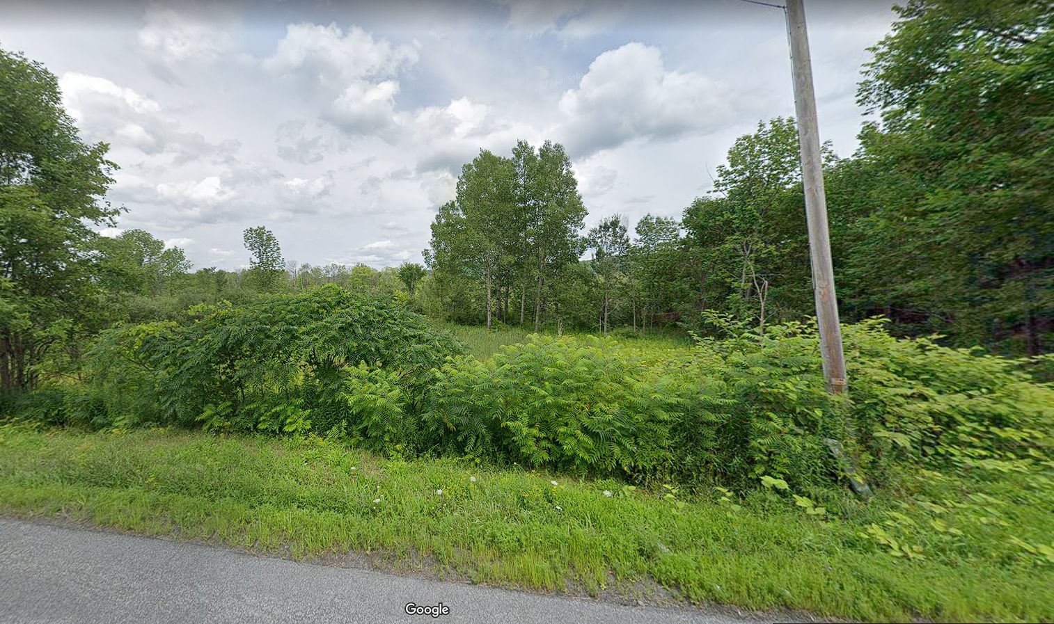 Hartwick, Otsego County, NY Recreational Property, Hunting Property for