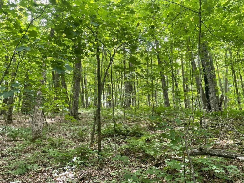 Birchwood, Washburn County, WI Undeveloped Land, Homesites for sale