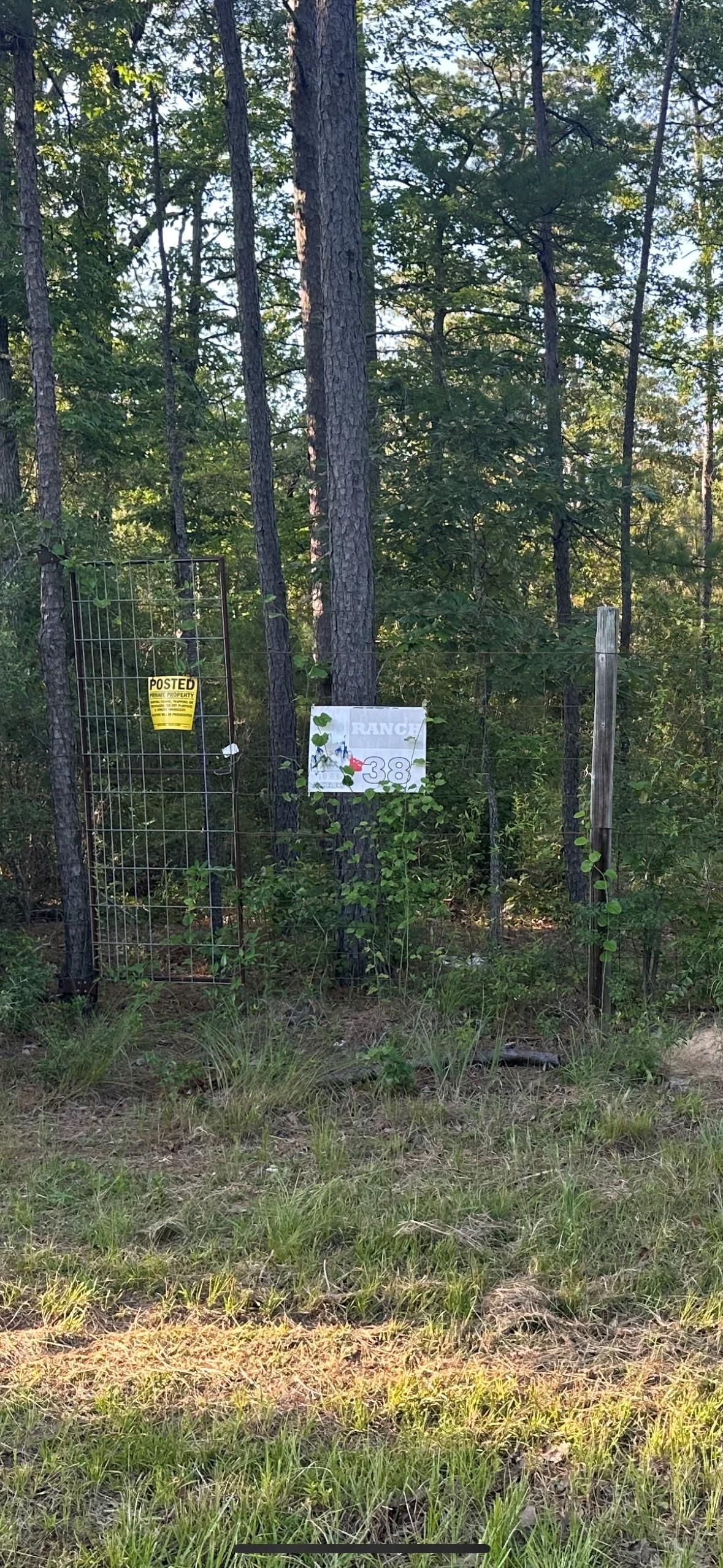 Bronson, San Augustine County, TX Recreational Property, Undeveloped