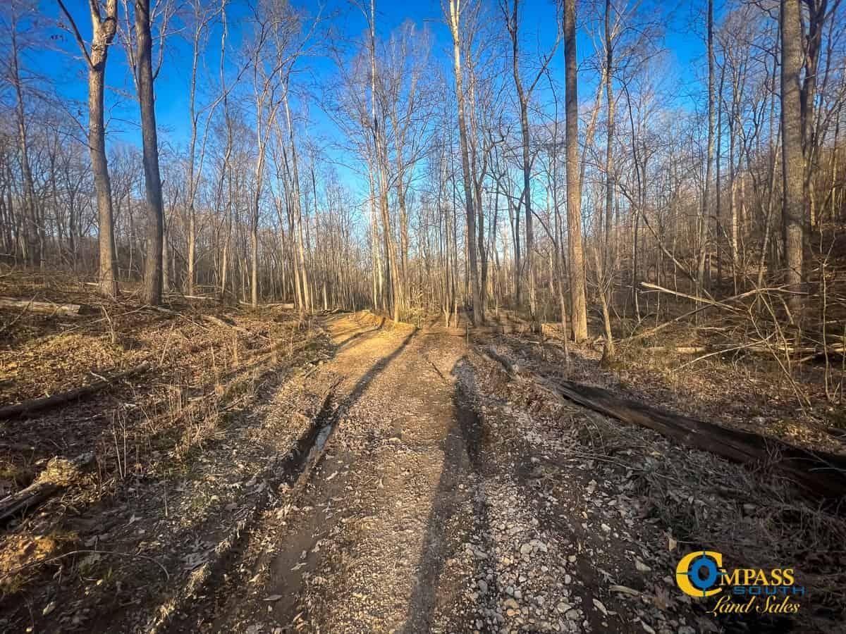 Erin, Houston County, TN Recreational Property, Timberland Property