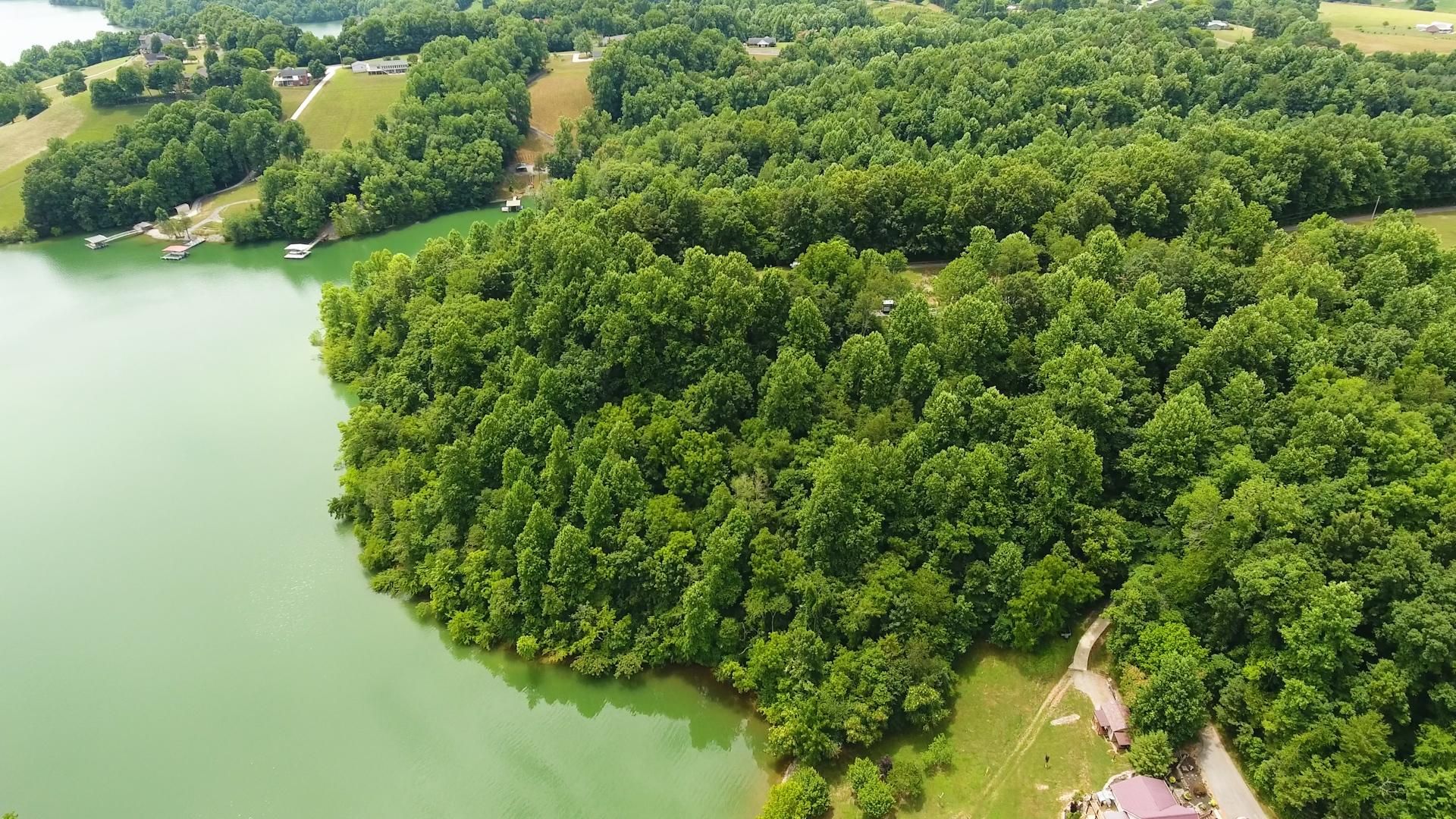 Lynchburg, Moore County, TN Undeveloped Land, Lakefront Property, Waterfront Property, Homesites