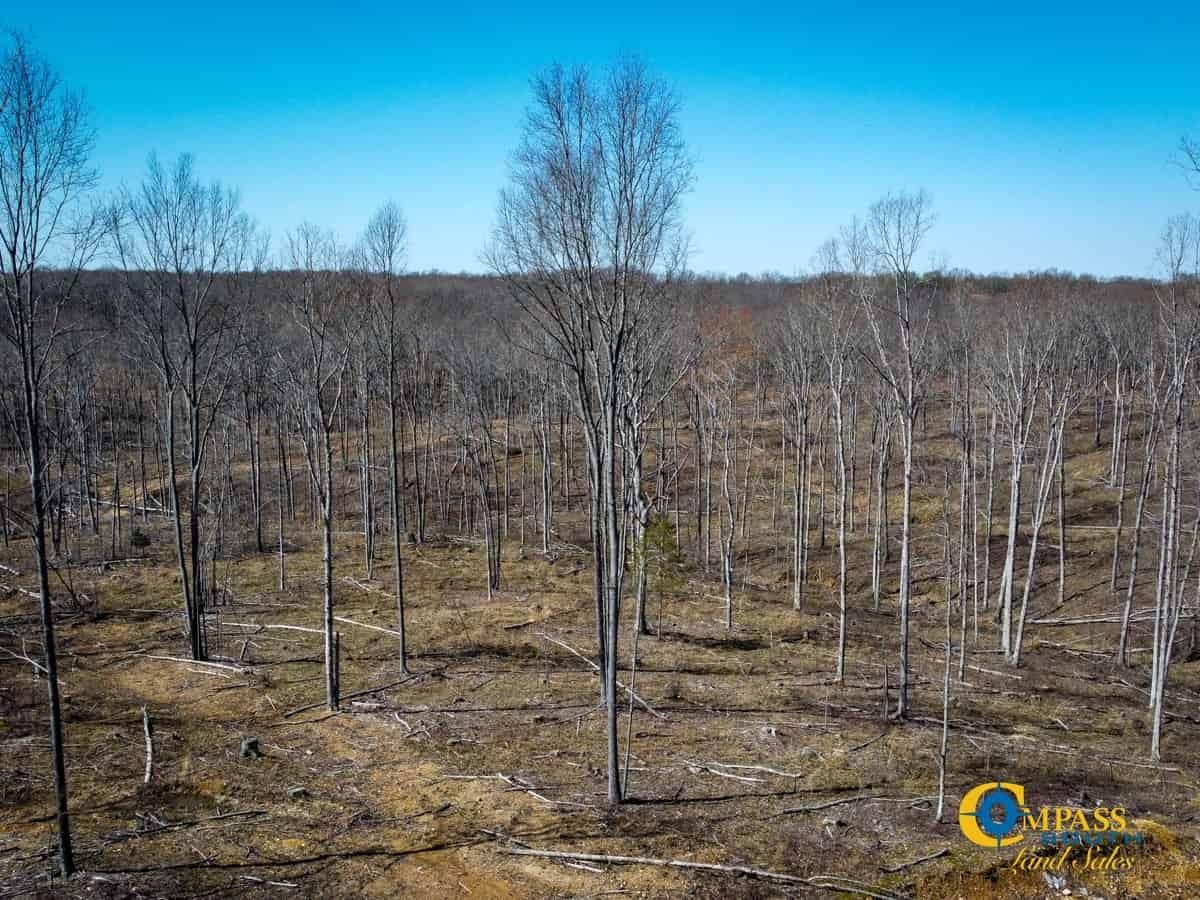 McEwen, Humphreys County, TN Recreational Property, Timberland Property