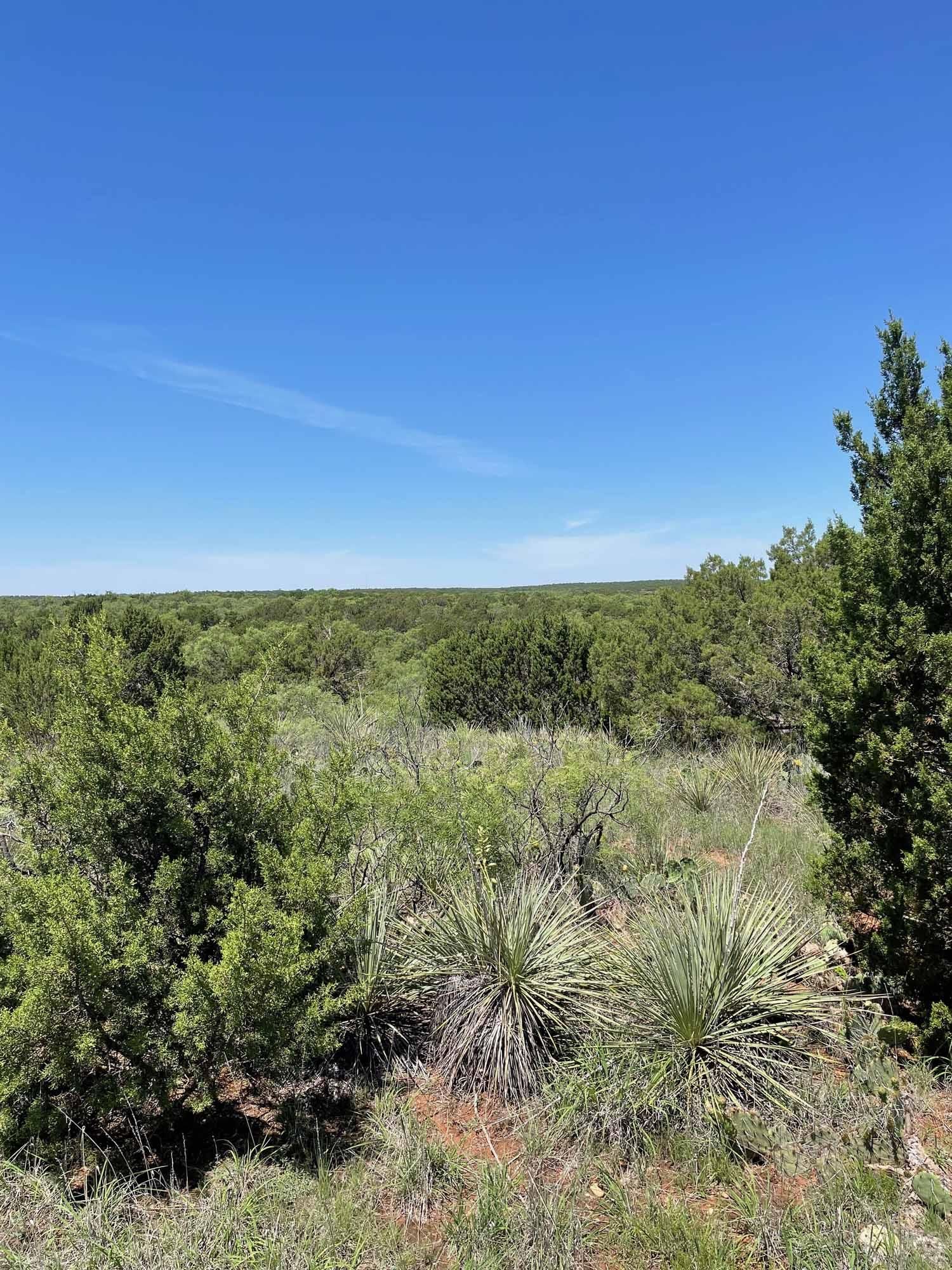 Turkey, Hall County, TX Recreational Property for sale Property ID