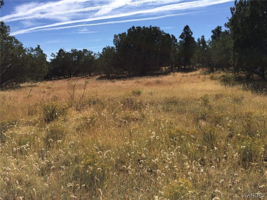 Peach Springs, Mohave County, AZ Farms and Ranches for sale Property ID